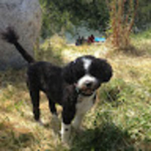 Meet your Posher, Ruby